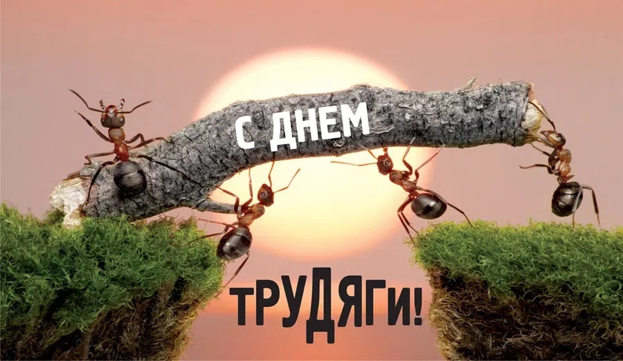 День трудяги